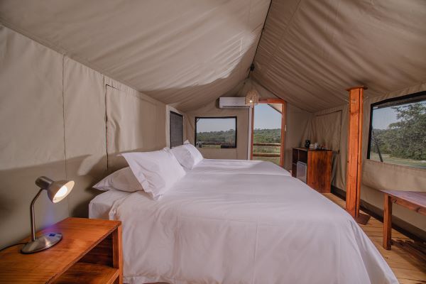 Nkambeni Safari Camp à Kruger ou équivalent